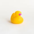 Toy yellow rubber duck isolated on white background. Opposition symbol and political struggle Royalty Free Stock Photo