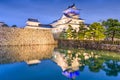 Toyama Castle, Japan Royalty Free Stock Photo