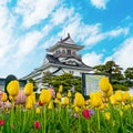 Toyama Castle in toyama prefecture