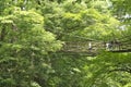 Vine bridge or Kazura bridge. A suspension bridge made of the plant called Shirakuchikazura.