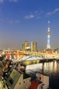 Toyko sky tree in night scene