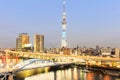 Toyko sky tree in night scene