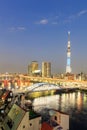 Toyko sky tree in night scene