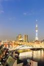 Toyko sky tree in night scene