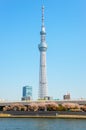 Toyko sky tree