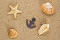 Toylike anchor and seashells