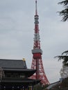 the tokyo tower in japan