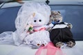 toys-decorations for the wedding car. cat and cat in the costumes of bride and groom Royalty Free Stock Photo