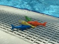 Toys fish near the swimming pool from the hotel Royalty Free Stock Photo