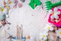 Toys kid with sea shells and plumeria flowers on sand background Royalty Free Stock Photo