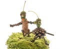 Toys made from natural materials