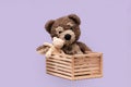 Toys teddy bears sit hugging in a wooden box. Royalty Free Stock Photo