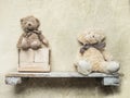 toys on a wooden shelf as digital backdrop or background for newborn baby photography, newborn photo setup and