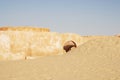 Star Wars Mos Espa  Film Set, Sahara Desert, Tamerza, Tunisia Royalty Free Stock Photo