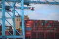 TPM seafreight container terminal on the Maasvlakte in the port of Rotterdam in the Netherlands