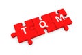 TQM puzzle conceptual