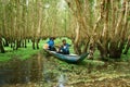 Tra Su indigo forest, Vietnam ecotourism Royalty Free Stock Photo