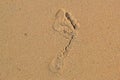 Trace of a bare foot of the person on sand Royalty Free Stock Photo
