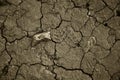 Trace of boot left on vysushenoj Sun Earth. Dry cracked earth. The desert. Background. It`s hot, the global shortage of water on Royalty Free Stock Photo