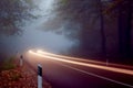 Trace of car light on a road through the forest. Nature, road, trip Royalty Free Stock Photo