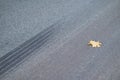 Trace of car tire emergency braking on road, autumn leaf nearby