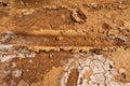 Trace of a car wheel on on the mud, soil land. Driving on desert sand after rain Royalty Free Stock Photo