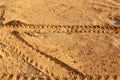 Trace of a car wheel on on the mud, soil land. Driving on desert sand after rain