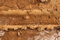 Trace of a car wheel on on the mud, soil land. Driving on desert sand after rain Royalty Free Stock Photo