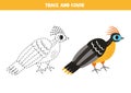 Trace and color cartoon hoatzin. Worksheet for children.