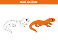 Trace and color cute cartoon newt. Worksheet for kids.