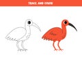 Trace and color cartoon scarlet ibis. Worksheet for children.