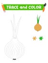 trace and color the vegetables. A training sheet for preschool children.Educational tasks for kids.Onion Coloring Book.