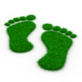Trace foot from grass Royalty Free Stock Photo