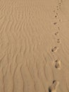 Trace of footprints on the brownish sand Royalty Free Stock Photo