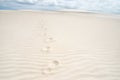 Trace of footprints on the sand in the desert Royalty Free Stock Photo