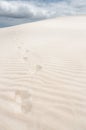 Trace of footprints in the sand Royalty Free Stock Photo