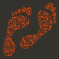 Trace of human foot