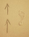 Trace of a human foot on sand. Tourist traffic. Royalty Free Stock Photo