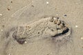 Trace of human foot on the wet sand beach Royalty Free Stock Photo