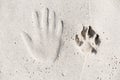 Trace of human hand and dog paw on the sand Royalty Free Stock Photo