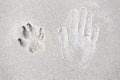 Trace of human hand and dog paw on the sand Royalty Free Stock Photo