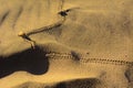 A trace of a sea snake against a background of yellow sand. Summer, vacation, travel. Royalty Free Stock Photo