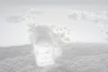 Trace of shoes on snow Royalty Free Stock Photo