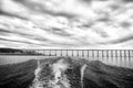 Trace of speed boat on blue sea water in manaus, brazil. Seascape with bridge on horizon on cloudy sky. travelling and