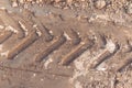 The trace of the tractor, dry soil in the field Royalty Free Stock Photo