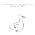 Tracing letters with black and white goose. Writing practice for kids.