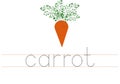 Trace word carrot. English worksheet for kids. Cartoon colorful carrot.