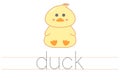 Trace word duck. English worksheet for kids. Cartoon colorful duck.