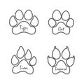 Traces of animals Cat, leopard, lion, tiger footprints set Royalty Free Stock Photo