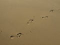 Traces of bare feet on the beach smoothed by low tide